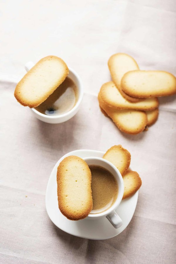 Come posso gestire un gatto di razza Ocicat con tendenza alla marcatura del territorio con l'urina?